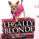 LEGALLY BLONDE, The Musical May 3-12, 2013